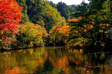 清川の紅葉