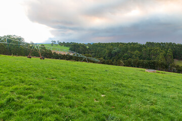 A dairy farm in Tasmania with livestock that grazes pasture