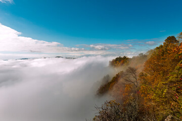 Overview of clouds and autumn trees