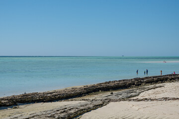Fototapeta na wymiar Tourists on the shoreline of Heron Island