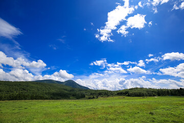 夏の蓼科山