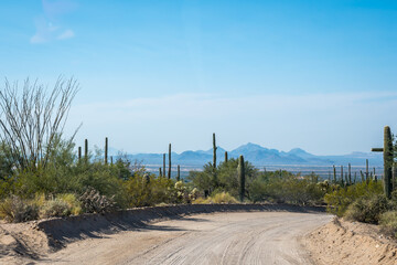 A long way down the road of Saguaro National Park, Arizona