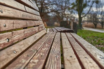 Fototapeta na wymiar Park bench with in autumn sunshine