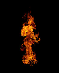 Fire burning flames on a black background