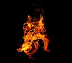 Fire flames on a black background