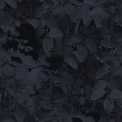 Dark moody almost black leaf seamless pattern. High quality illustration. Deep mysterious distant and faded leaf foliage design. Luxurious shadow surface pattern design for interiors or backgrounds.