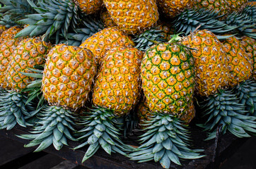 Ripe fresh pineapples 