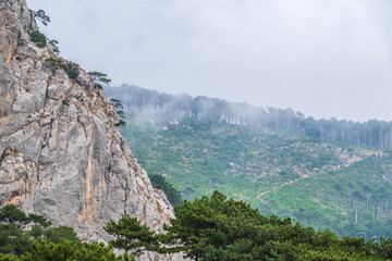 High stone rock in the dense fog. Heavy fog in the mountains on a cloudy day.