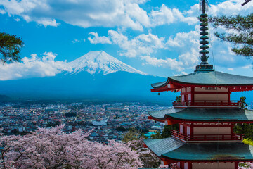 桜咲く富士山と新倉山浅間神社五重塔