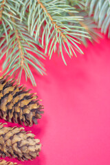 Christmas tree with a pine cone and red background
