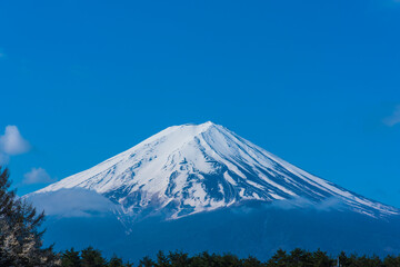 朝の富士山