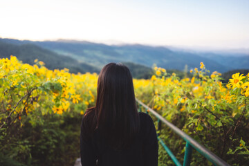 Adult woman walking in yellow mexican sunflower field.