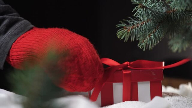 on a pile of snow under the tree, one hand in a mitten to lay down a red box with a gift. Christmas concept