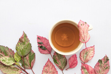 hot mix lemon tea with colorful leaf arrangement flat lay postcard style on background white