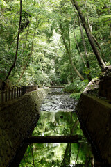 等々力渓谷（世田谷区）