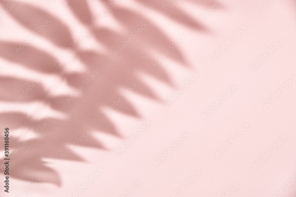 Wall mural Leaf shadow on pink background. Creative abstract background