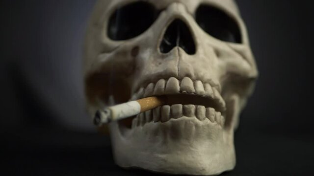 Human skull with cigarette on dark background zoom in shot