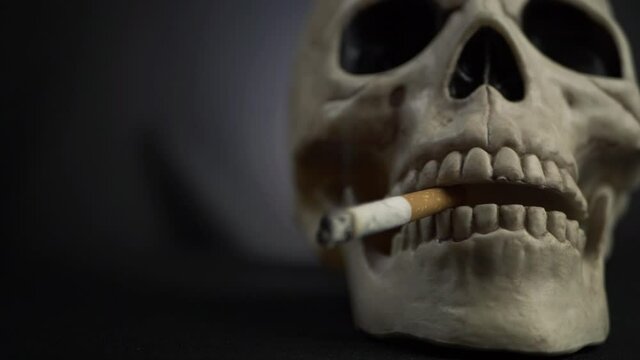 Human skull with cigarette on dark background close up panning shot