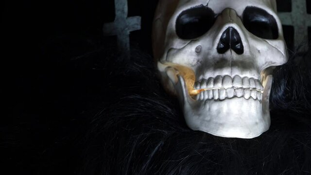Human skull on creepy background medium shot