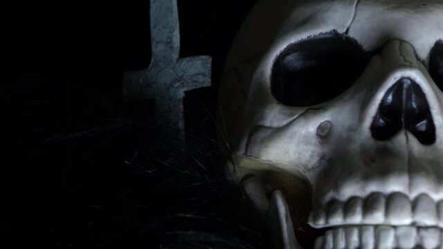 Human skull on creepy background close up panning shot