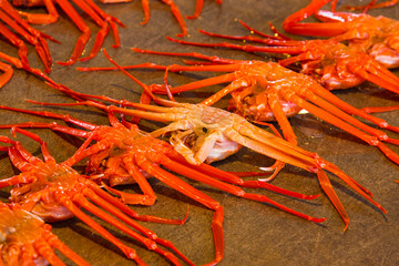 ベニズワイガニセリ市場