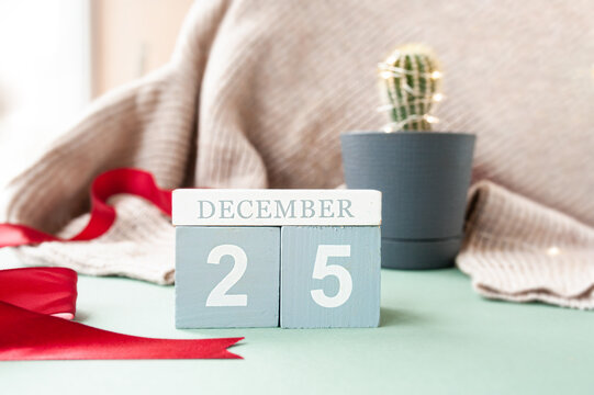 wooden calendar cubes with date December 25, red ribben on beige cozy sweater and small cute green cactus decorated with garland in pot. cozy simple desktop decor at Christmas time, selective focus
