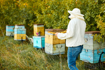 confident adult man in protective suit beekeeper working in apiary, small business concept