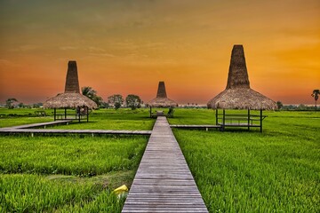 sunset over rice fields in Thailand