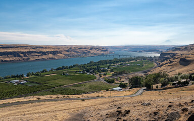 Maryhill, Washington on the Columbia River has a vineyard and winery along the Sherman Highway by the Sam Hill Memorial Bridge