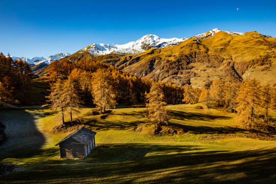 Autumn colours in the trees, snow capped mountains in the background with the  moon setting and a hut in the foreground