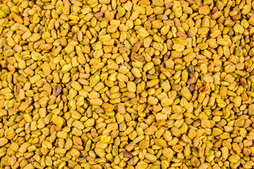 Background of the fenugreek seeds (methi dana, helba or shambala)