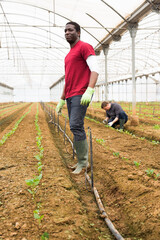Portrait of skilled african american farm worker during spring works in greenhouse © JackF