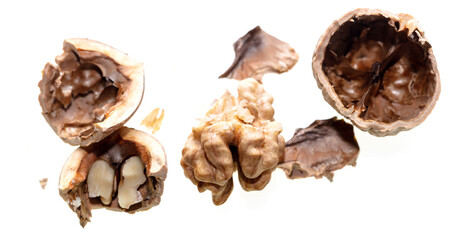 The kernel of a split walnut is isolated on a white