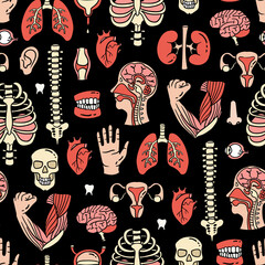 Vector colorful seamless pattern on the theme of human anatomy. Cartoon background with human organs and skeleton on black color