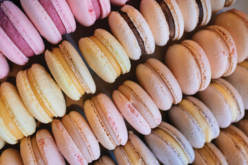 Colored macaroons. Sweet dessert cake for the whole family. Set with different flavors