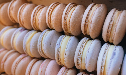 Colored macaroons. Sweet dessert cake for the whole family. Set with different flavors