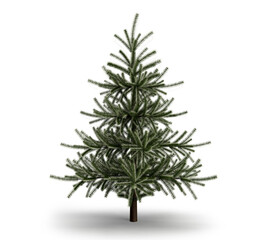 Christmas tree for greeting card, festive poster or party invitations. Clipping path of tree included. 3d rendering