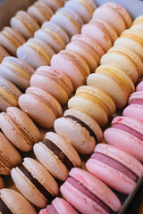 Colored macaroons. Sweet dessert cake for the whole family. Set with different flavors