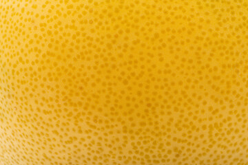 pamela texture close up