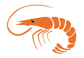 Shrimp vector illustration on white