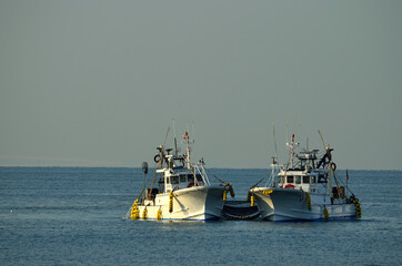 東京湾のスズキ漁