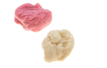 chewing gum isolated
