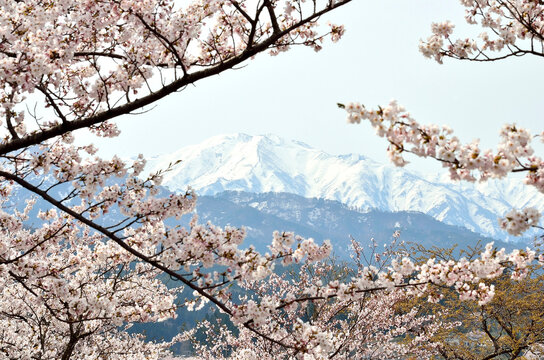飯豊連峰」の写真素材 | 1,025件の無料イラスト画像 | Adobe Stock