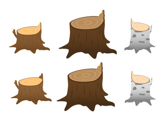 A set of stumps isolated on a white background. A stump with a broken branch. Stump of birch, oak, aspen, Rowan, spruce, pine, maple