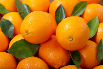 fresh orange fruits as background