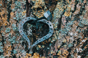 forged heart and nail, love valentine grunge concept,