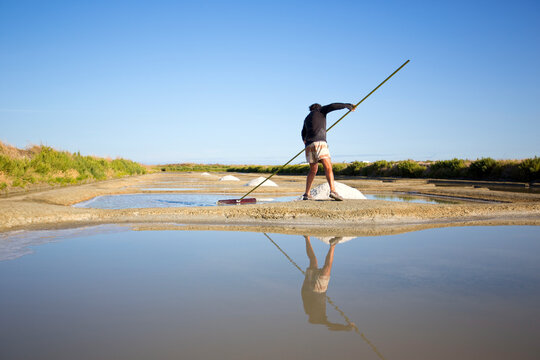 Saunier ou paludier r&eacute;coltant le sel dans les marais salants en France.