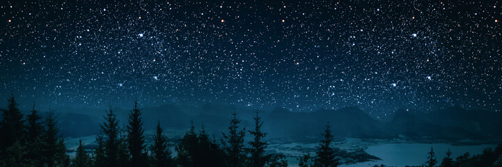 Fototapeta premium The star indicates the christmas of Jesus Christ.