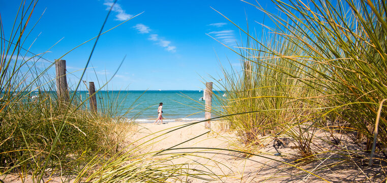 Balade dans les dunes au bord d'une plage en France.