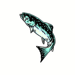 Vector illustration of salmon fish, and drawn line style with digital color